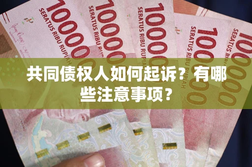 北京共同债权人如何起诉？有哪些注意事项？